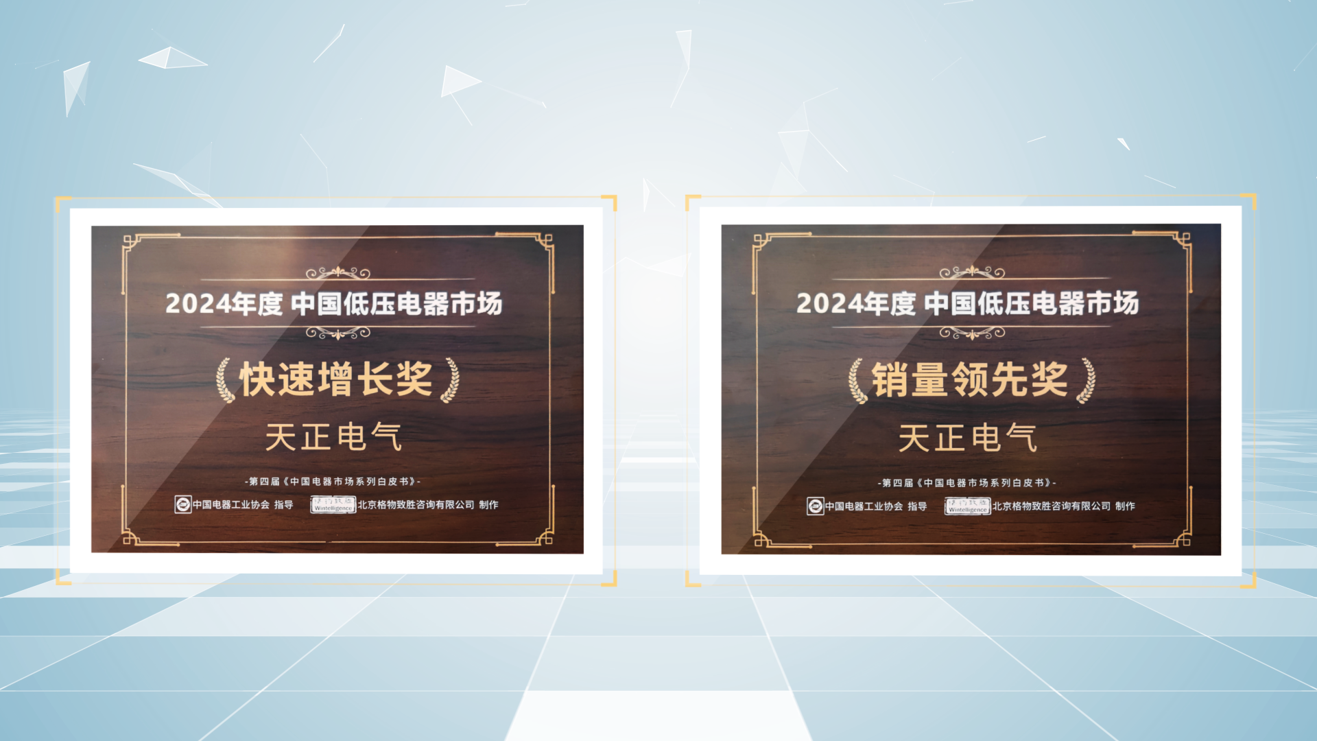 销量领先、快速增长丨pp电子荣膺2项行业年度大奖